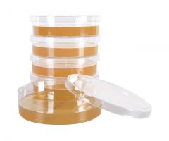 BHI Agar, 60ml; HDx, 25x100mm plt 5/pk R