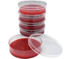BHIA w/ 5% SB, 37ml; HDx,25x100mm plt 50/BX R