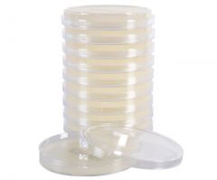 Inhib.Mold Agar; HDx, 15x100mm plate R