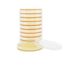 Tryptic Soy Agar Contact Plate With Lecithin and Tween 80 27mL 15x100mm 10/Pk
