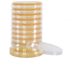 Sabdex Agar, USP; HDx, 15x100mm plate R