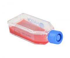 BHI Agar w/Blood & Gent.; HDx, plstc HardyFlask R