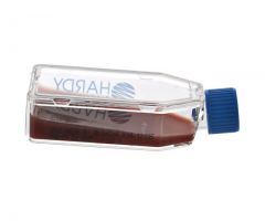 BHI Agar w/Bld, Chlr&Gent; HDx, plstc HardyFlask R
