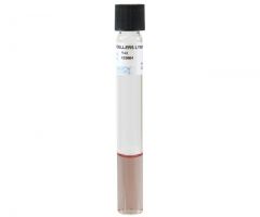 Moellrs Lysine Decarb.; HDx,16x125mm tube,brth